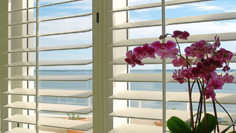 All Types of Shutter Window Blinds in Bradenton, FL Are Available for Your Home or Office