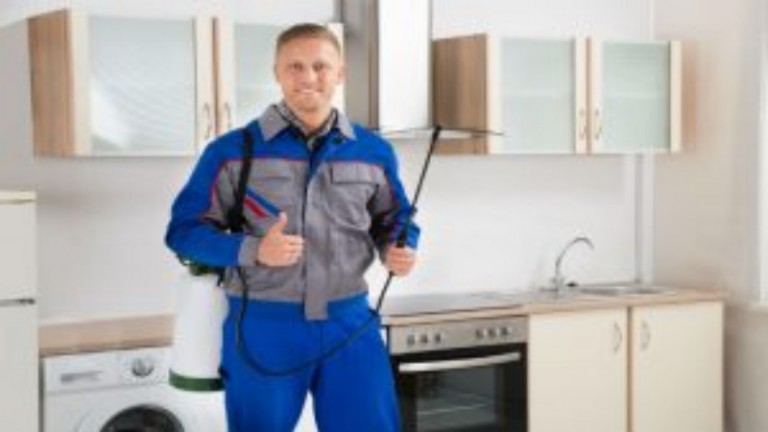 Home Pest Control Protects The Home From Infestation