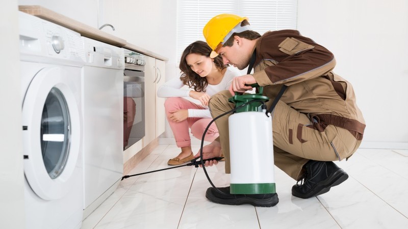 Why a Service Contract is the Best Approach for Residential Pest Control in Peachtree City GA