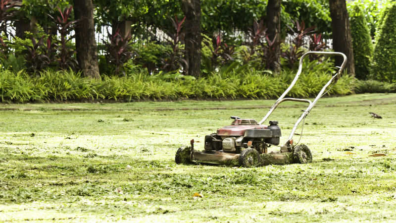 Transform Your Outdoor Space with Landscaping Services in Sherman Oaks