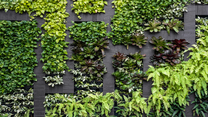 Plants Can Improve the Performance and Health of Your Miami Office