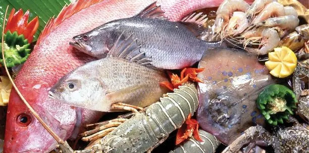 Find a Distributor in Miami Who Offers the Best Seafood for Your Business