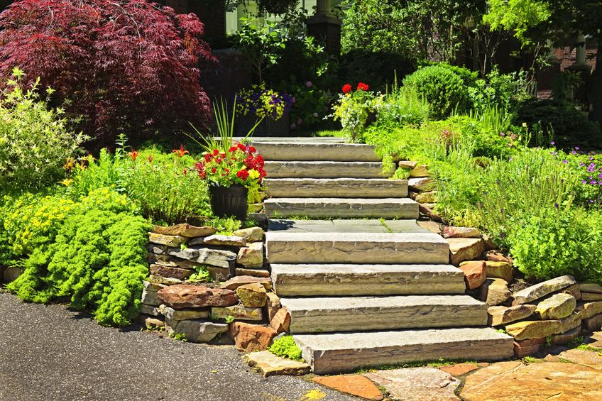 Essential Elements of Landscape Design in Edina, MN