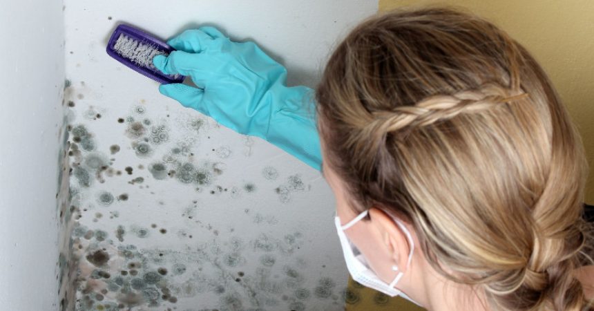 Find That Mold with a Home Mold Inspection in Fort Myers