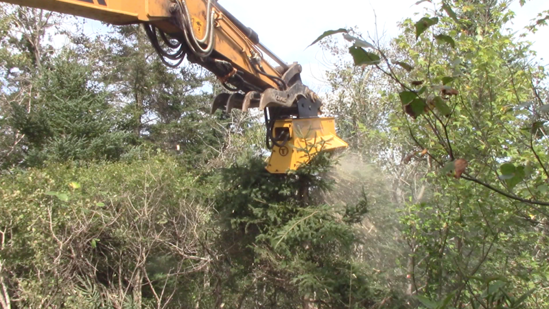 When to Utilize a Mini Excavator Forestry Mulcher