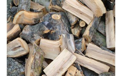 Need Firewood Fast? Dependable Firewood Delivery in NJ for All Seasons & Occasions